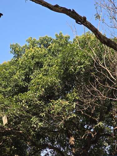 IMG-20250120-WA0118