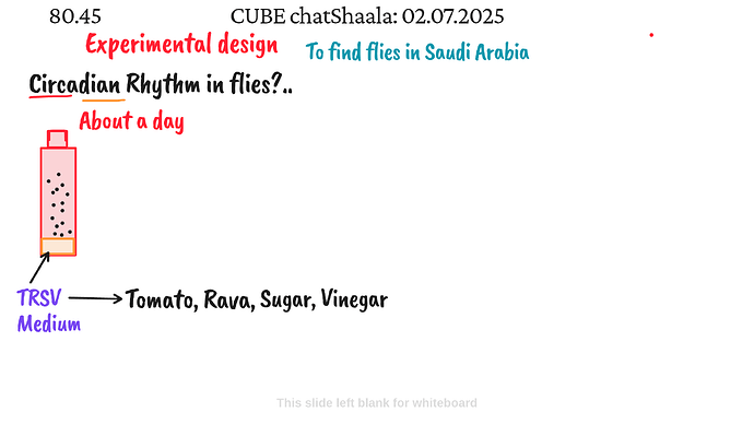 Presentation_CUBE chatShaala_2025-07-02T16_04_59.307Z