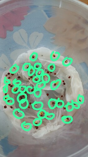 IMG-20250706-WA0007