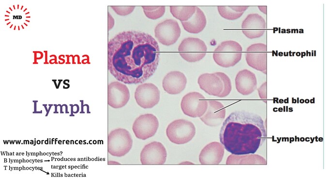 Presentation__2025-12-22T16_01_45.295Z