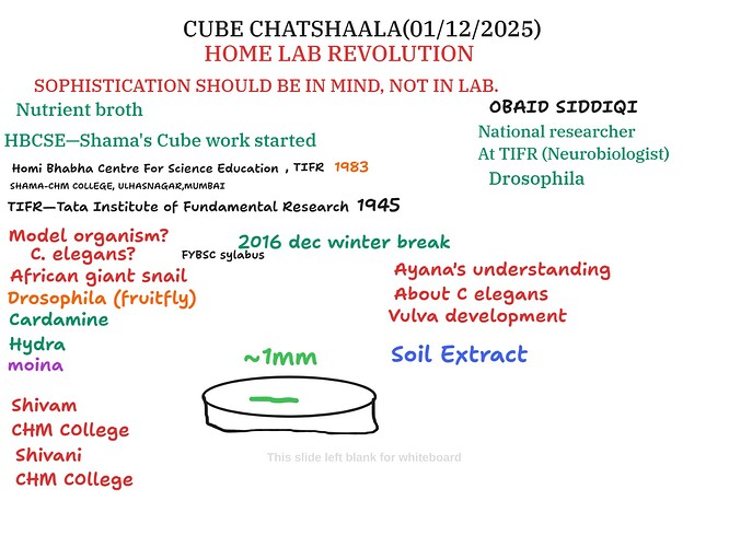 d605d078-f03f-4d54-b554-d15e669f9b20