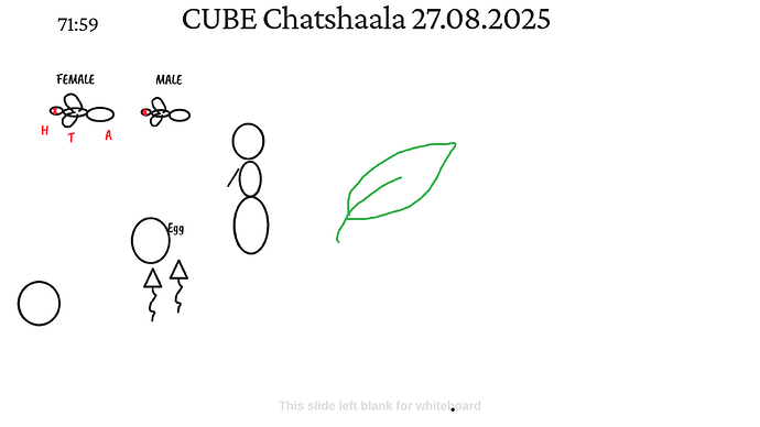 Presentation_CUBE chatShaala_2025-08-27T15_55_02.414Z