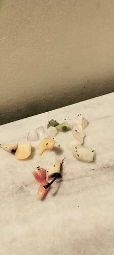 IMG-20260812-WA0024