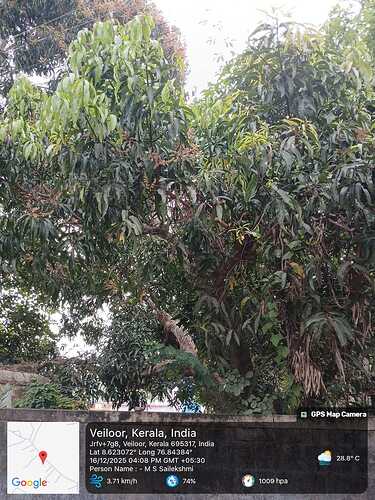 WhatsApp Image 2025-12-17 at 9.20.09 AM | 375x500