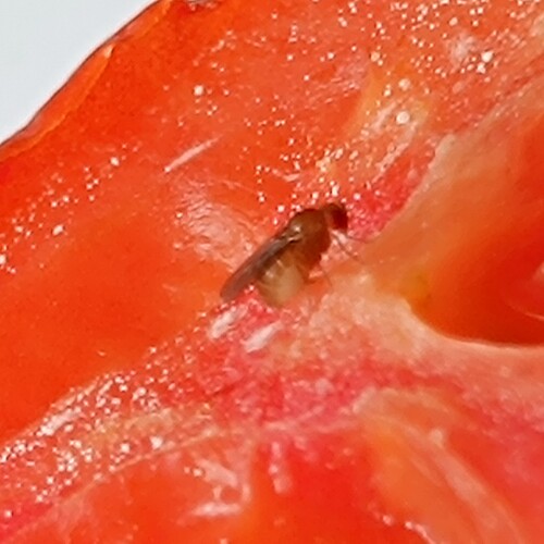 IMG-20250506-WA0006