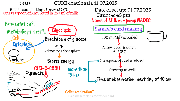 Presentation_CUBE chatShaala_2025-07-11T16_09_26.053Z