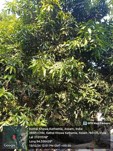 WhatsApp Image 2024-12-13 at 3.53.51 PM