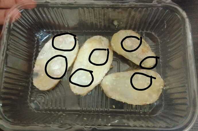 IMG-20250130-WA0018