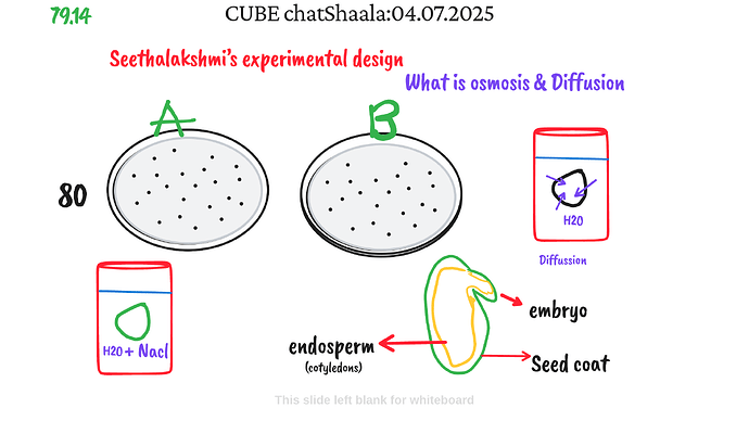 Presentation_CUBE chatShaala_2025-07-04T16_11_11.100Z