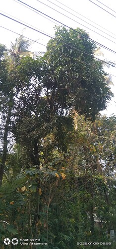 IMG-20250108-WA0064