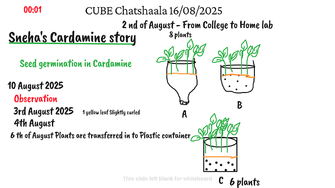 Presentation_CUBE chatShaala_2025-08-16T16_11_51.366Z