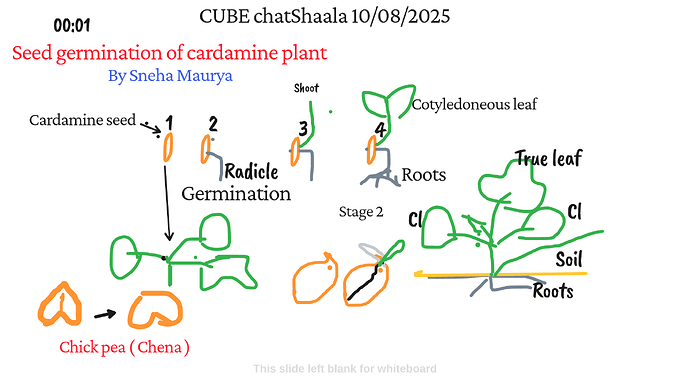 Presentation_CUBE chatShaala_2025-08-10T16_06_39.738Z