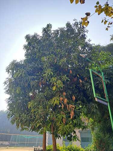 IMG-20250120-WA0037