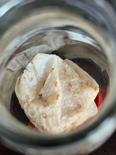 tissue