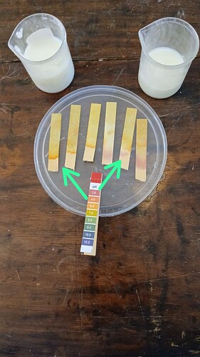 ff103de2-f56b-4306-b8e0-598a88f8e0da