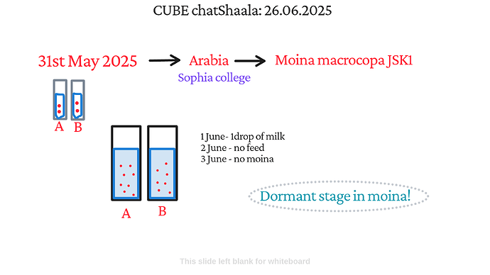 Presentation_CUBE chatShaala_2025-06-26T16_03_03.870Z