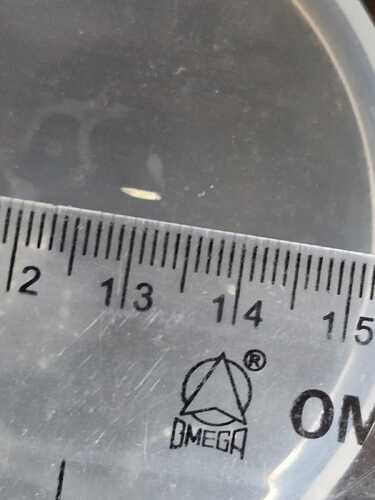 ruler