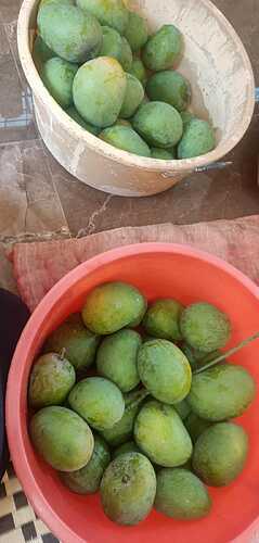 IMG-20250514-WA0047