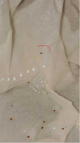 94814562-fc5b-45b5-bf95-bf243ab51fff