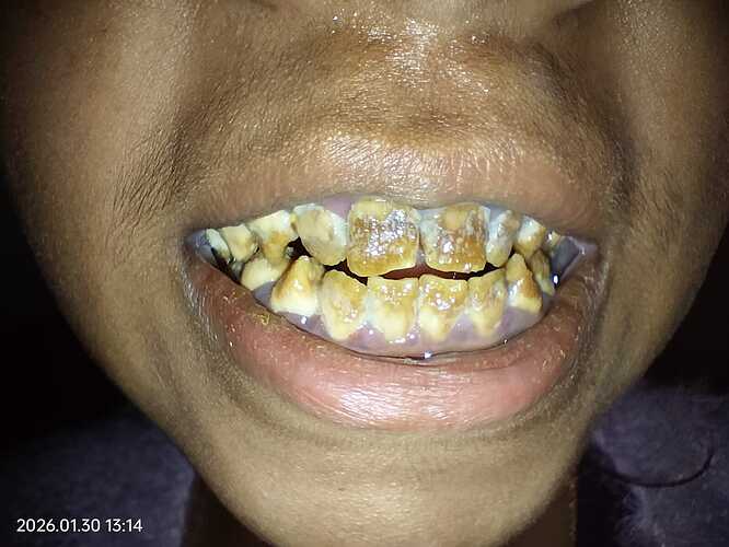 e5c2f2c8-1d01-498d-9ee9-dbf19f53832d