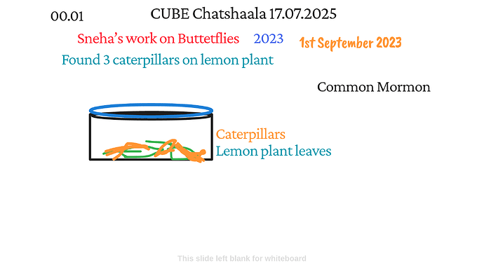 Presentation_CUBE chatShaala_2025-07-17T16_06_31.007Z