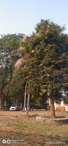 IMG-20250108-WA0114