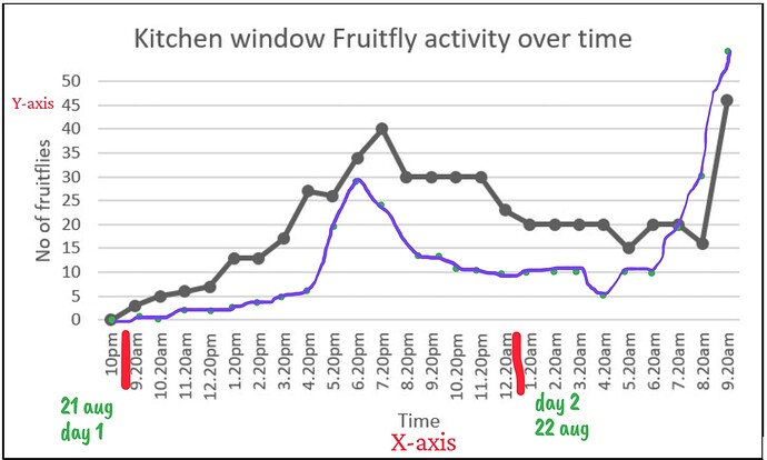 Presentation_CUBE chatShaala_2025-08-24T16_01_57.304Z