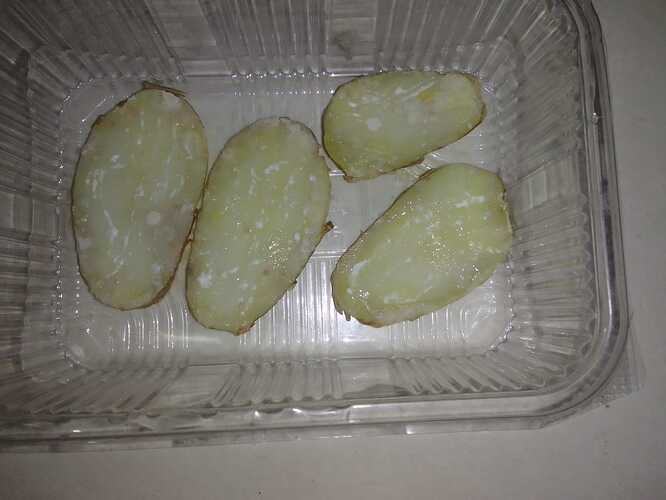 IMG-20250129-WA0075