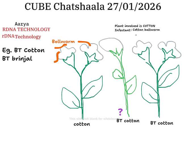 2b0bc499-96fc-4705-aeda-2f2e48295eb3