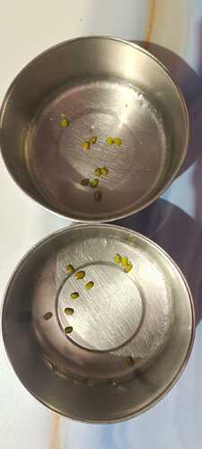 IMG-20250913-WA0000