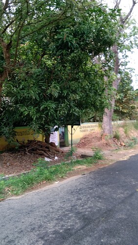 IMG-20250202-WA0025