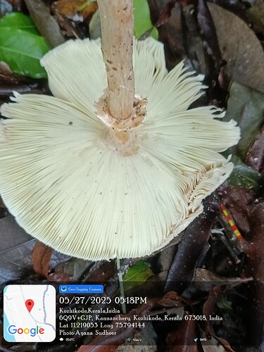 IMG-20250527-WA0065