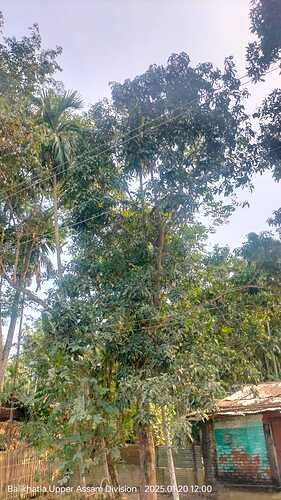 IMG-20250120-WA0042