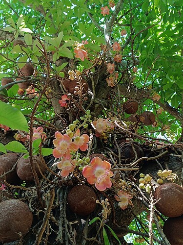 Picsart_25-11-07_18-43-28-579