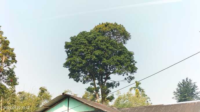 IMG-20250122-WA0016