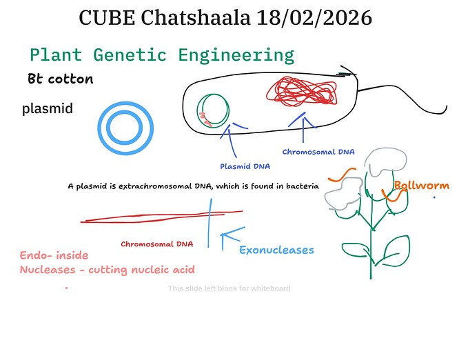 32e694bd-1198-4d4f-9c84-9795b47ea599