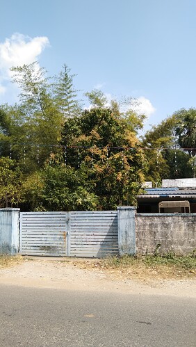 IMG-20250120-WA0078