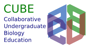 CUBE Logo