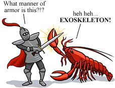 lobster_cartoon2
