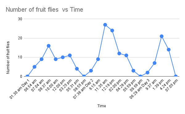 Number of fruit flies  vs Time