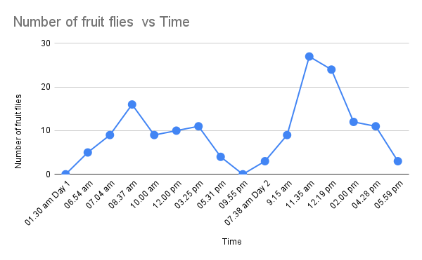 Number of fruit flies  vs Time