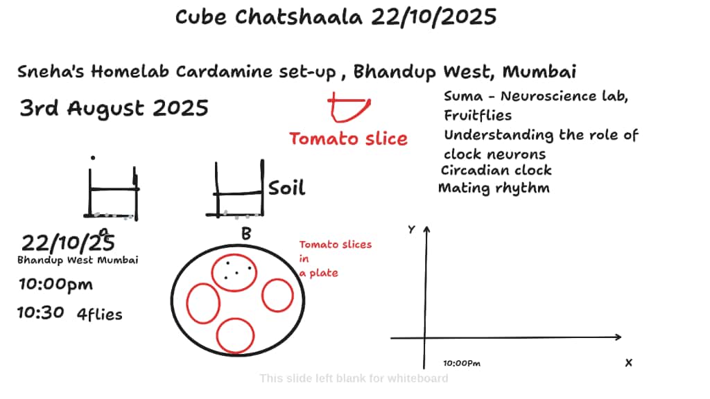 6a2f8773-16b5-41d6-99fe-7f7a92a03dfc