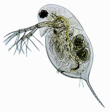 4af06b4d-1aa3-408a-9e4a-8f73dd642054