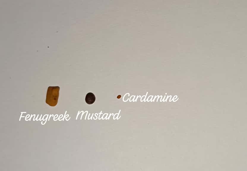 5daae425-06e0-471d-abb5-a0a57a2c3778