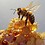 Ayana_Sudheer